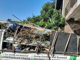 Best Same-Day Junk Removal Services  in Kayenta, AZ